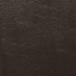 Kimonte Dining Chair - Carl's Furniture (Garden City, KS)