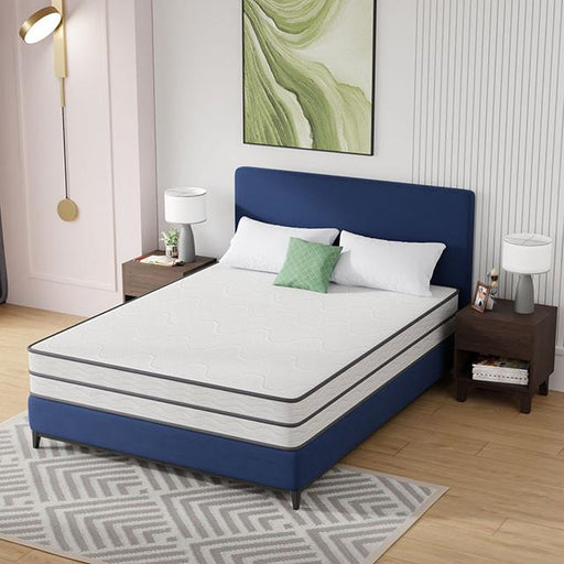 Catmint Mattress - Carl's Furniture (Garden City, KS)
