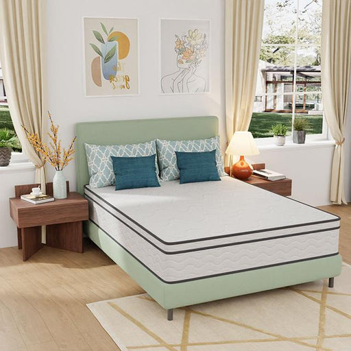 Catmint 12" Queen Innerspring Mattress - Carl's Furniture (Garden City, KS)