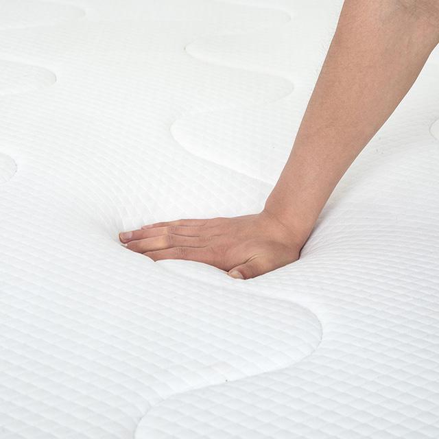 Catmint 12" Full Innerspring Mattress - Carl's Furniture (Garden City, KS)