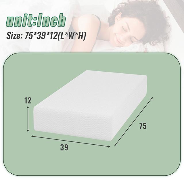 Coreopsis 12" Twin Memory Foam Wave Comfort - Carl's Furniture (Garden City, KS)