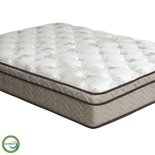 Lilium White/Brown 13" Euro Pillow Top, Queen - Carl's Furniture (Garden City, KS)