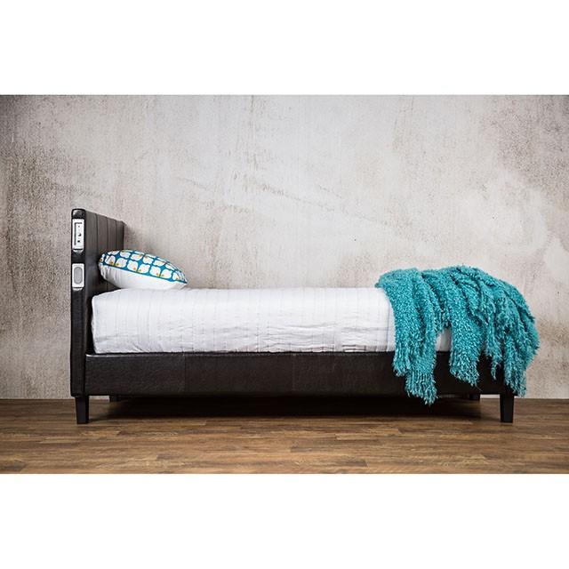 Evans Bed Espresso & Pink - Carl's Furniture (Garden City, KS)