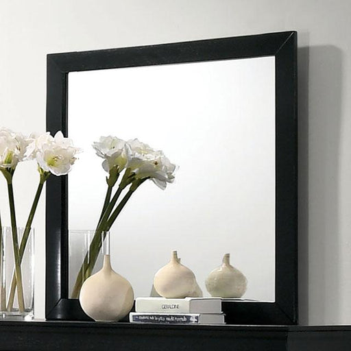 Louis Philippe Mirror - Carl's Furniture (Garden City, KS)