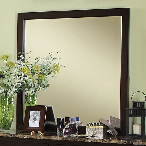 Lemoore Mirror - Carl's Furniture (Garden City, KS)