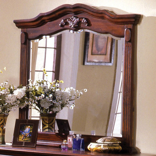 Lewisburg Mirror - Carl's Furniture (Garden City, KS)