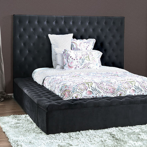 Davida Bed - Carl's Furniture (Garden City, KS)
