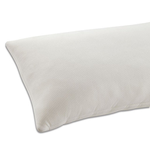Hosta Memory Foam Pillow (8/Box) - Carl's Furniture (Garden City, KS)