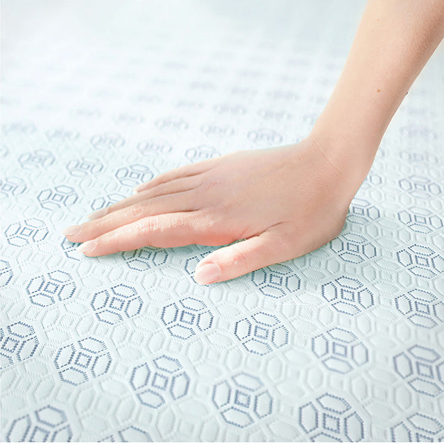 Edelweiss 6", 8", 10" & 12" Twin XL Memory Foam Mattress - Carl's Furniture (Garden City, KS)