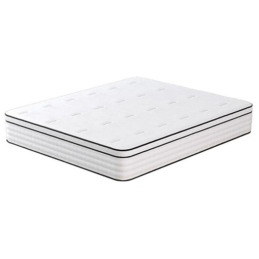 Salvia Mattress - Carl's Furniture (Garden City, KS)