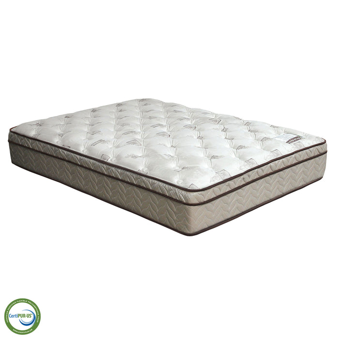 Lilium White/Brown 13" Euro Pillow Top Mattress, Twin - Carl's Furniture (Garden City, KS)