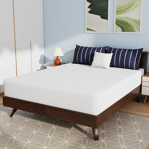 Nasturtium 10" Queen Bamboo Charcoal Infused Memory Foam - Carl's Furniture (Garden City, KS)