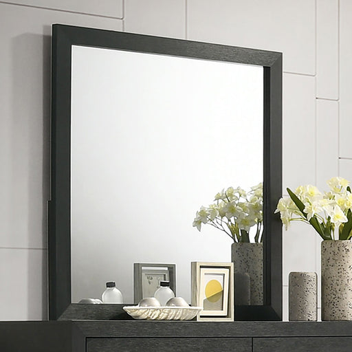 Latimer Mirror - Carl's Furniture (Garden City, KS)