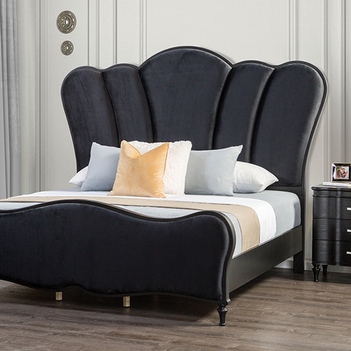 Melodi Parc Bed Black & Silver - Carl's Furniture (Garden City, KS)