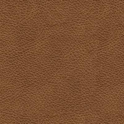 Carianna Sofa Sleeper - Carl's Furniture (Garden City, KS)