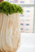 Cammen Vase - Carl's Furniture (Garden City, KS)