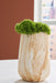 Cammen Vase - Carl's Furniture (Garden City, KS)