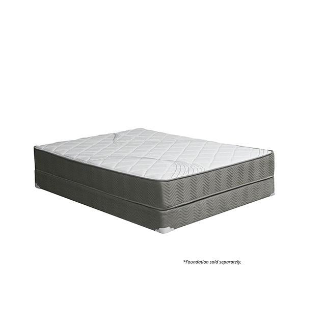 EDREA White/Gray 10" Tight Top Pocket Coil, Cal.King - Carl's Furniture (Garden City, KS)
