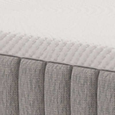 Terra Sleep Soft Mattress - Carl's Furniture (Garden City, KS)