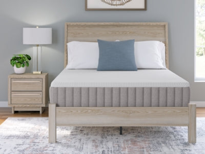 Terra Sleep Firm Mattress - Carl's Furniture (Garden City, KS)
