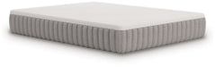 Terra Sleep Firm Mattress - Carl's Furniture (Garden City, KS)