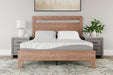 8 Inch Memory Foam RV Mattress - Carl's Furniture (Garden City, KS)