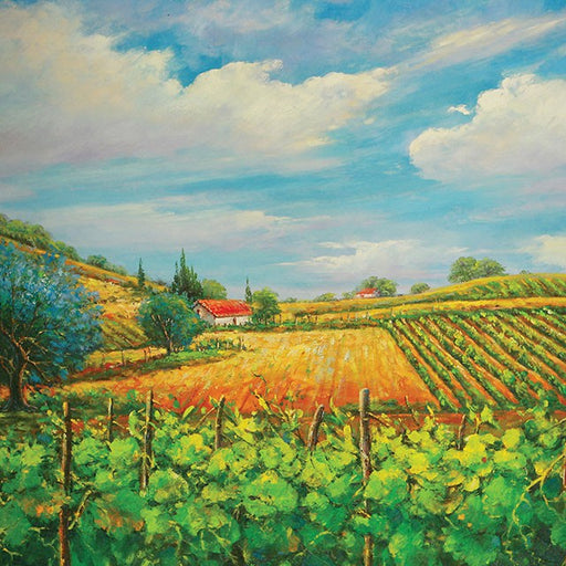 Summer In Napa Printed Canvas Painting - Carl's Furniture (Garden City, KS)